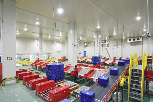 零下摄氏度人机CP,中国首个冷链自动化分拣中