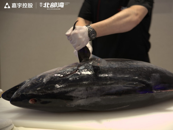 嘉宇北部湾精工样板公园惊艳绽放