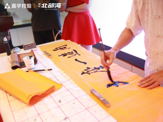 嘉宇北部湾精工样板公园惊艳绽放