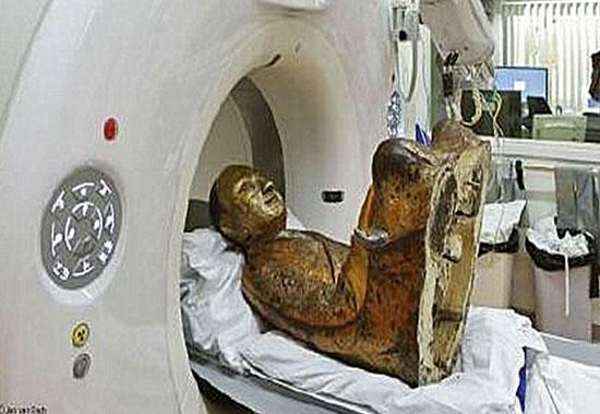 荷兰肉身坐佛收藏家终于憋不住了:我合法拥有