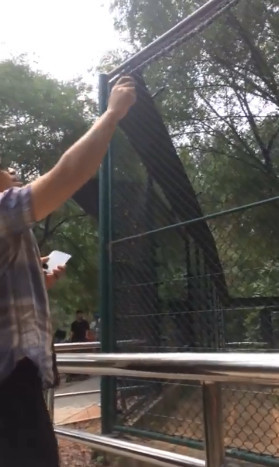 北京大兴野生动物园游客拿石头猛砸老虎
