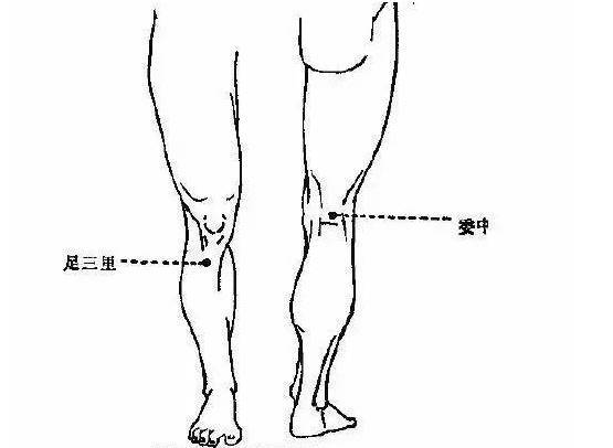 足三里穴是胃经的主要穴位,叫做合穴(各经都有井穴,荣穴,俞穴,原穴,经