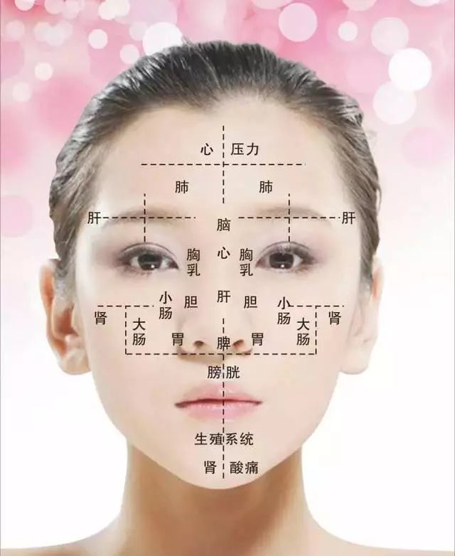 面部是人体各部位和疾病的全息缩影,人上至五脏六腑,四肢百骸,下至