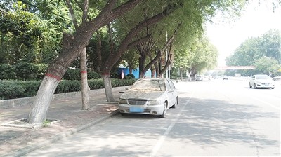 漯河市有多少人口_... 多数人不知 漯河高速上他处罚后还懵懂......