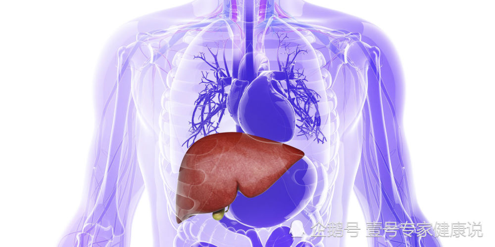 抽完一支烟,尼古丁会在你的身体里停留多久?答