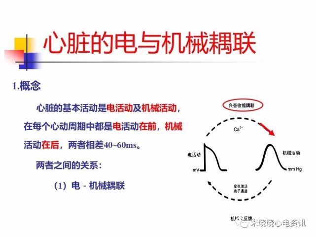 电-机械耦联与房室同步(ppt)
