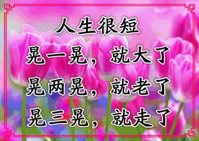 我们要善待每一天, 珍惜每一天,过好每一天.