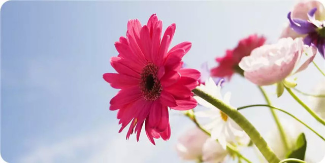 第二次情绪减压|Amanda轻疗愈网络课程