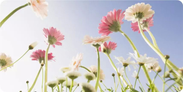 第二次情绪减压|Amanda轻疗愈网络课程