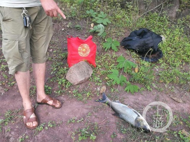 两男子禁渔区钓鱼被查还喊冤:钓鱼犯哪条法律