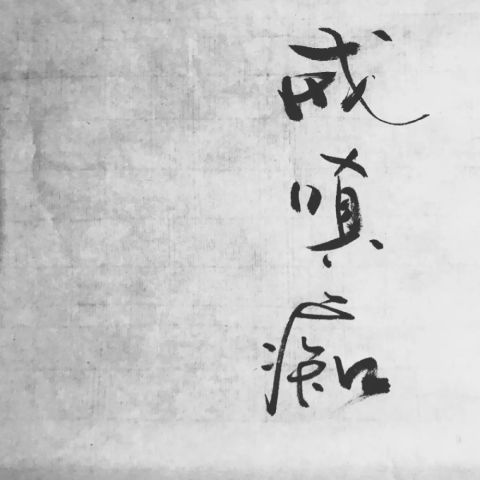 赵小仙:酷不是我的属性,自由才是