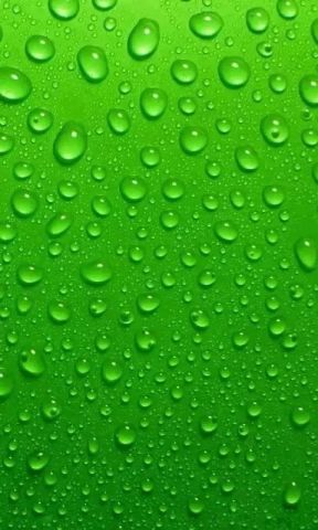 高清微信护眼图,选一张当聊天背景图吧!