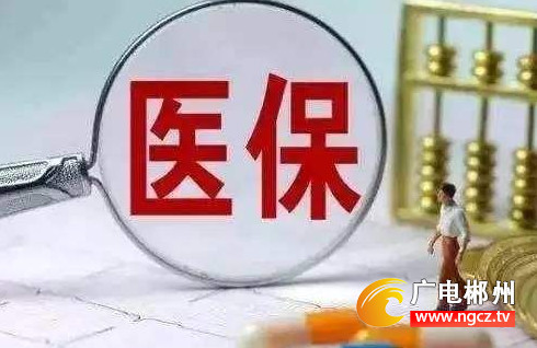 郴州苏仙区人社局开通医保网上缴费新模式