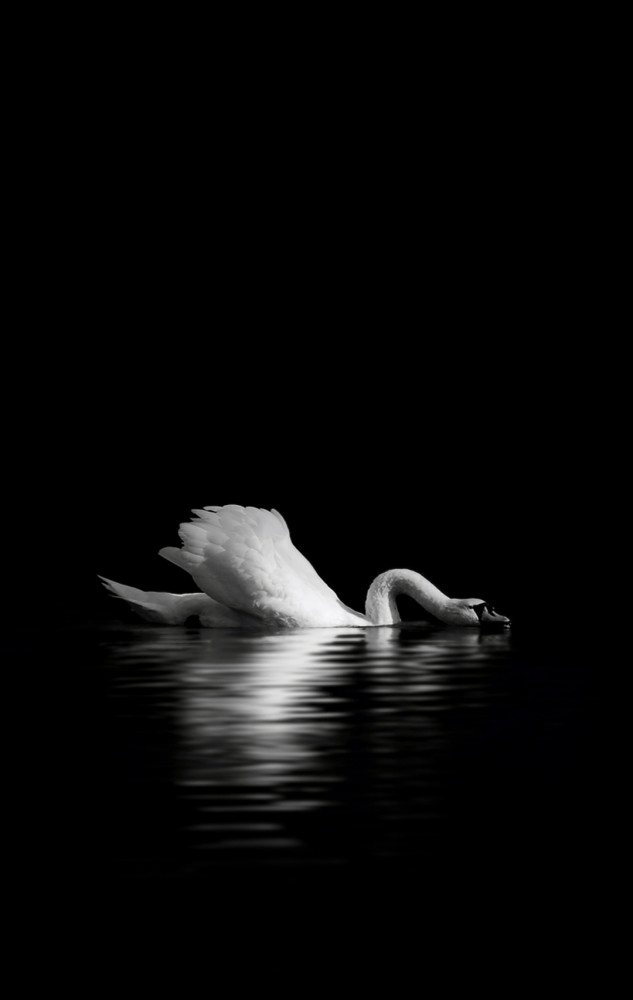 锤子手机经典内置壁纸1080p高清,高清多图慎点.