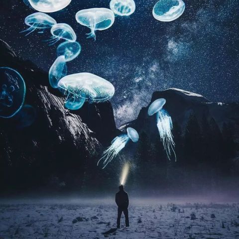 640