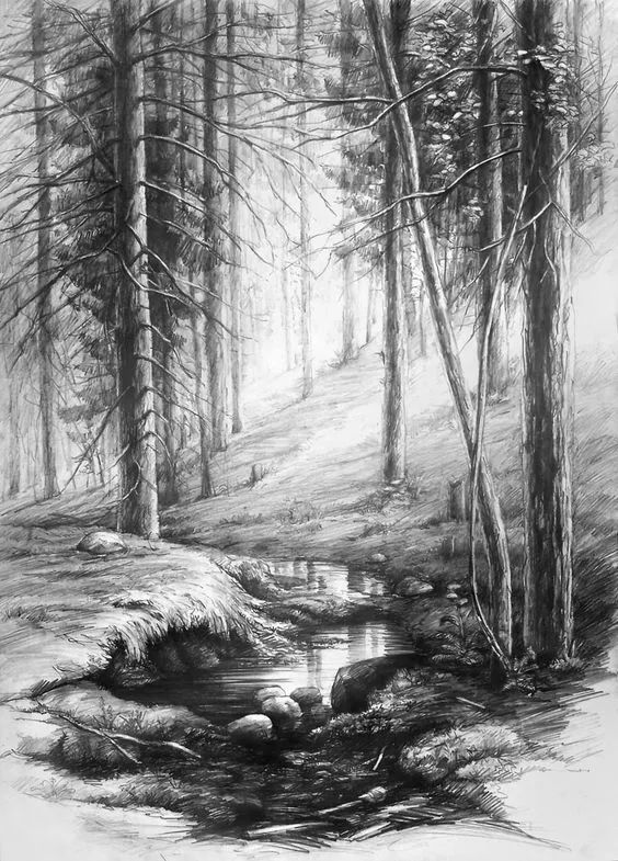 安静唯美的素描风景一起来欣赏吧