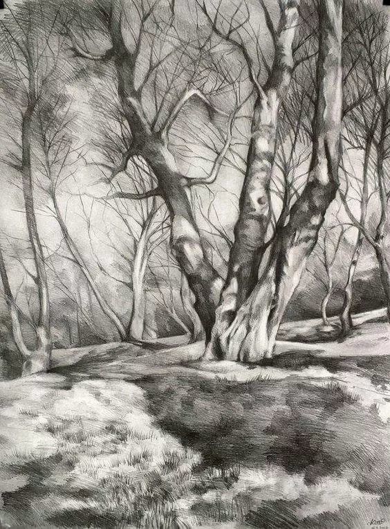 安静唯美的素描风景,一起来欣赏吧!