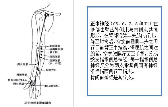 下三边间隙卡压:b.桡神经沟卡压:c.