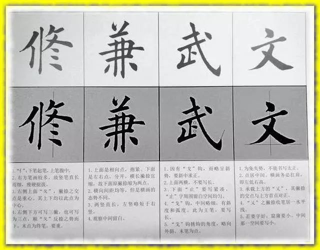 人口总是什么字_什么是人口普查