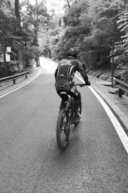 悲剧!岳麓山两学生骑车下山 失控撞树一死一伤