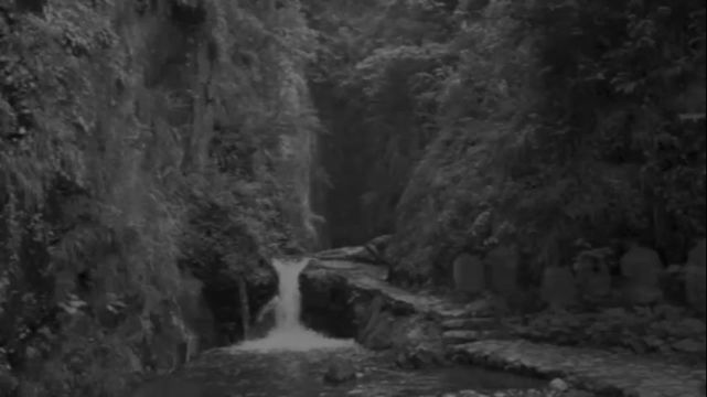 这个七月，广东美术馆将推出四大独立策划展览