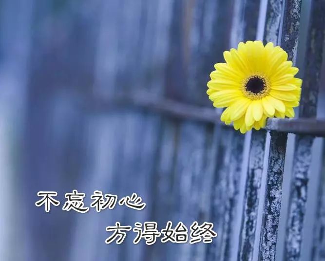 2021朋友圈很流行的短句子,每一句都会点赞!