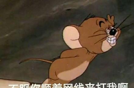 猫和老鼠带字搞笑表情包