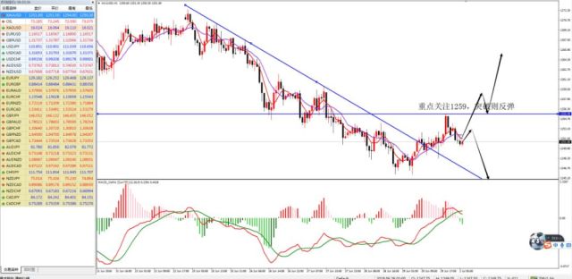 一张图：2025年10月15日黄金原油外汇股指“枢纽点+多空持仓信号”一览