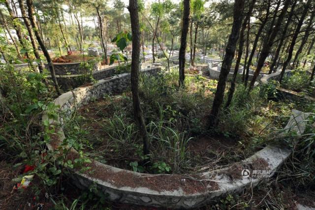 尧山风景区索道停车场旁,长着树木的空地被人围砌起来,占作墓地.