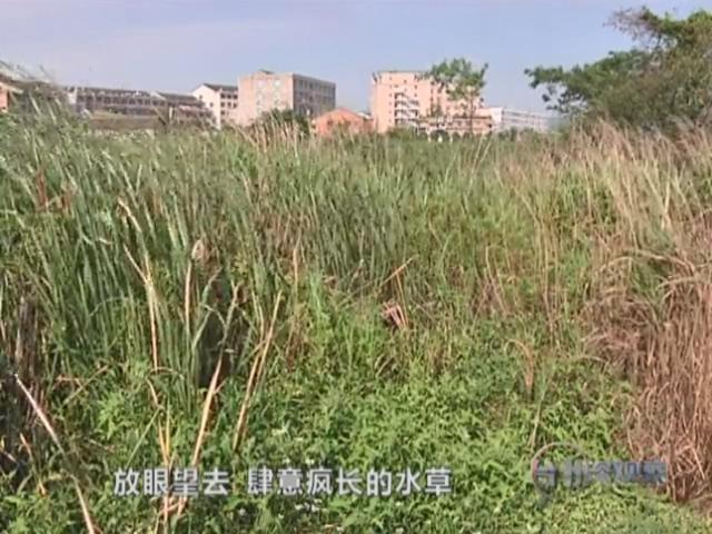 横峰县有多少人口_危房改造需等新文件出台 横峰一家12口遇住房难题(2)