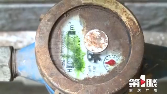 谁来买单?地下水管破裂漏水,小区居民俩月摊上