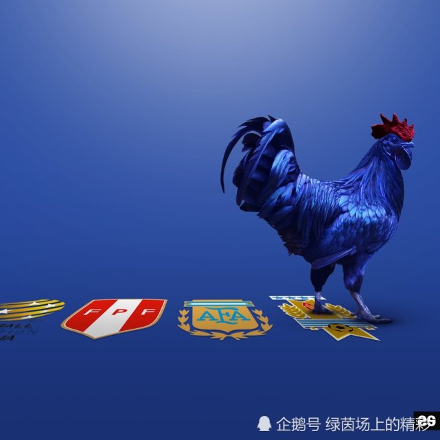世界杯半决赛欧洲红魔比利时对阵高卢雄鸡法国,壁纸