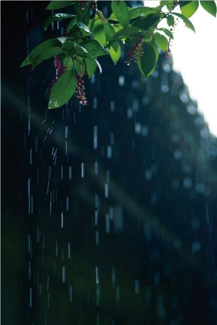 心晴的时候,雨也是晴;心雨的时候,晴也是雨.