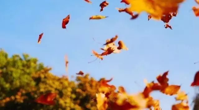 文人谈骂:嬉笑怒骂皆成文章