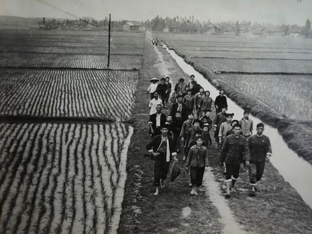 县委组织公社干部学习十一届三中全会文件精神一组40年前的老照片分享