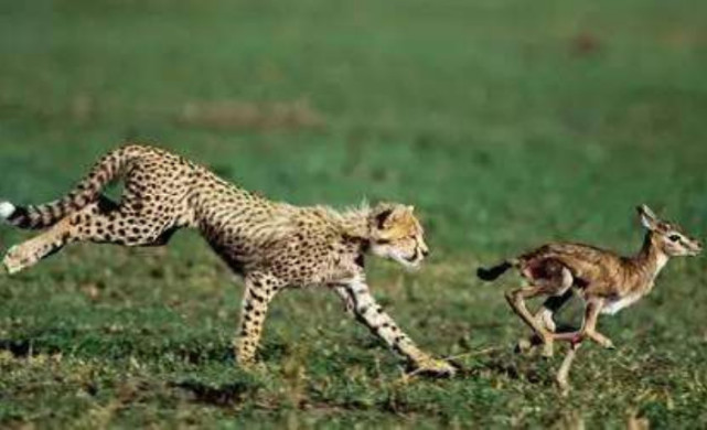 港股讲堂:投资者该如何在沽空狙击中生存