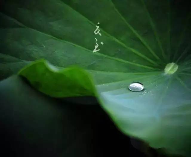 人到绝境是重生