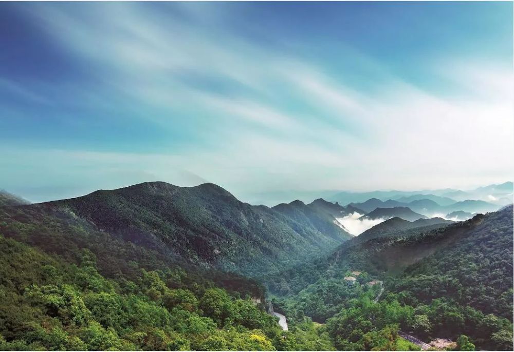 友们 可以去重庆的森林氧吧 逃离雾霾,亲近大自然 中梁山国家森林公园