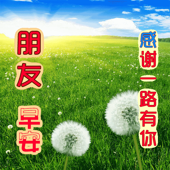 2019早安问候语温馨动画图片,好看的唯美早上好祝福