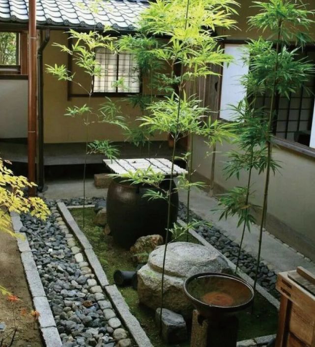 京都坪庭世界上最小的庭院