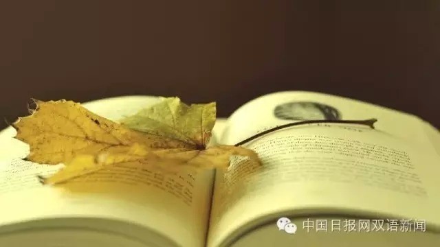 【美文】培根《谈读书》双语对照