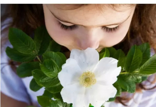 亲爱的,21天找回不抱怨的自己吧