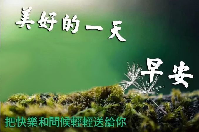 4月25日星期天早上好祝福语唯美句子早上好图片问候动态全集