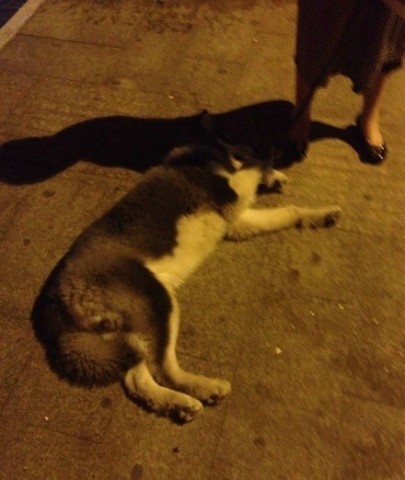 说说和女朋友逛街的心情吧~