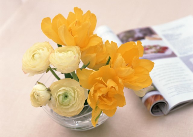 <em>看</em>耳朵<em>头发</em>眼睛 12个妙招判断女人<em>气血</em>水平_订