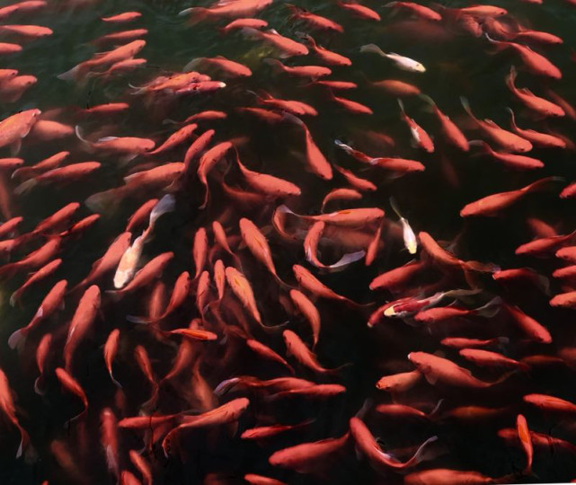 钰龙集团与汉川市政府签署黄龙湖国际生态城