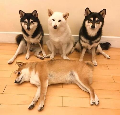 640