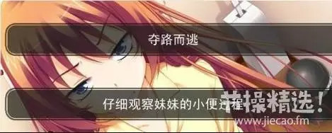 【操友和谐委员会】历年十款<em>工口</em>单机<em>游戏</em>大盘