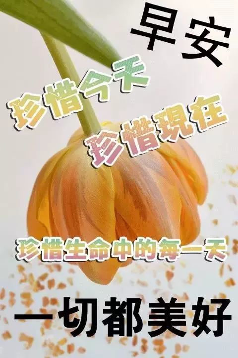 4月25日星期天早上好祝福语唯美句子 早上好图片问候动态全集