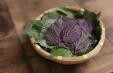 夏天，以“热”逼寒毒，不贪二凉，坚持三勤，给秋冬健康，打下基础